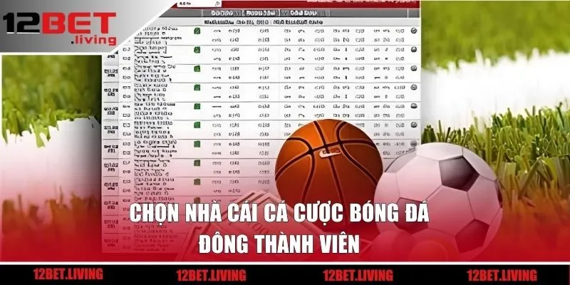 Chọn nhà cái cá cược bóng đá đông thành viên