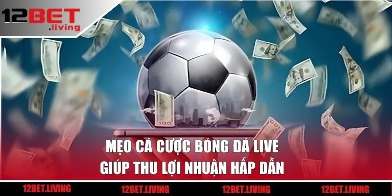 Mẹo cá cược bóng đá live giúp thu lợi nhuận hấp dẫn